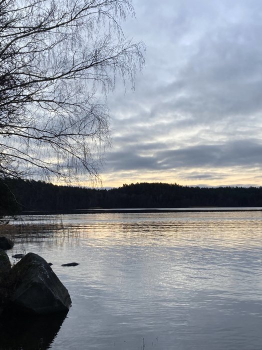 Sjövy vid solnedgång med nakna grenar och stenar vid vattenbrynet.