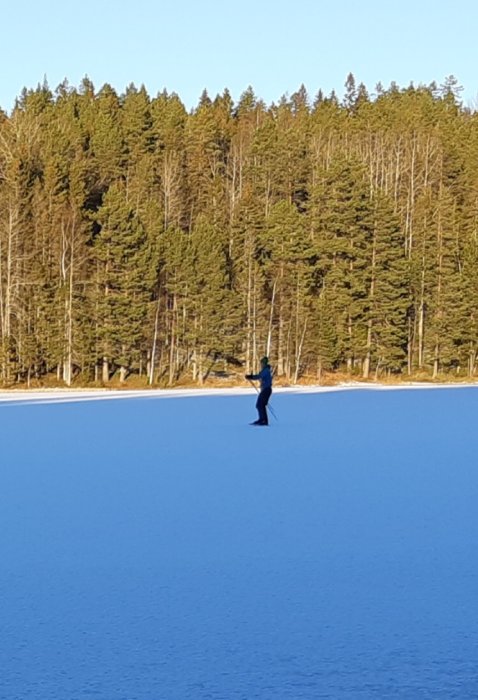 En person som skidar över en frusen sjö med skog i bakgrunden.