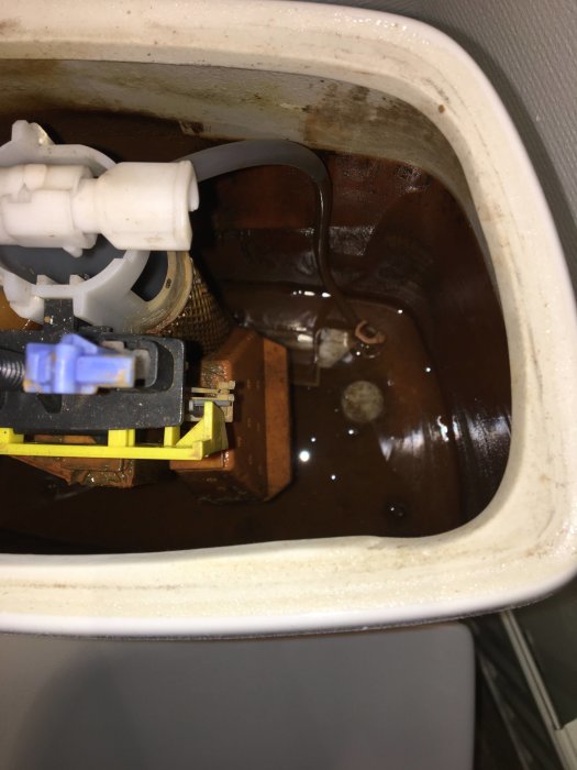 Inuti en IFÖ toalettcistern med synliga rostavlagringar och järnhaltigt vatten.