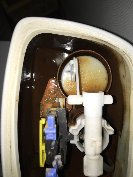 IFÖ toalett med öppet lock som visar avlagringar och smutsigt vatten i cisternen.