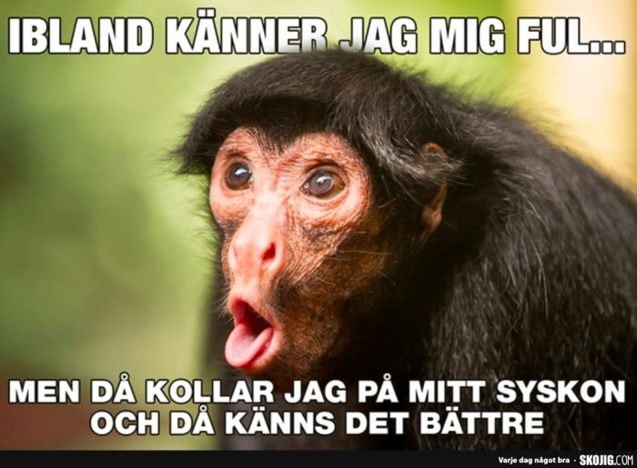 Närbild av en apa med en humoristisk text som handlar om självbild.