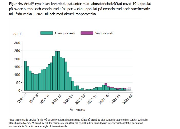 Stapeldiagram visar antalet intensivvårdade patienter med covid-19, uppdelade på ovaccinerade och vaccinerade per vecka i 2021.