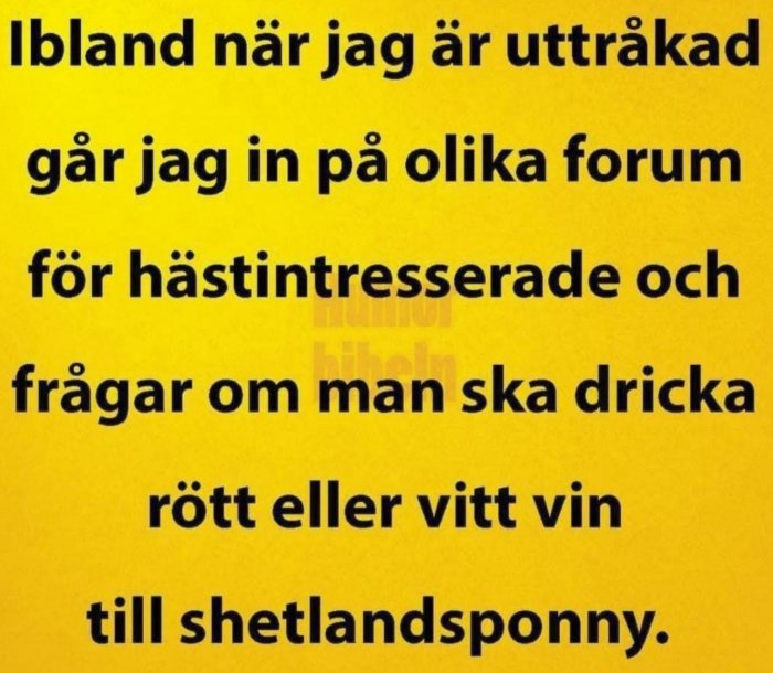 Gul bakgrund med text som skämtsamt frågar om man ska dricka rött eller vitt vin till shetlandsponny.