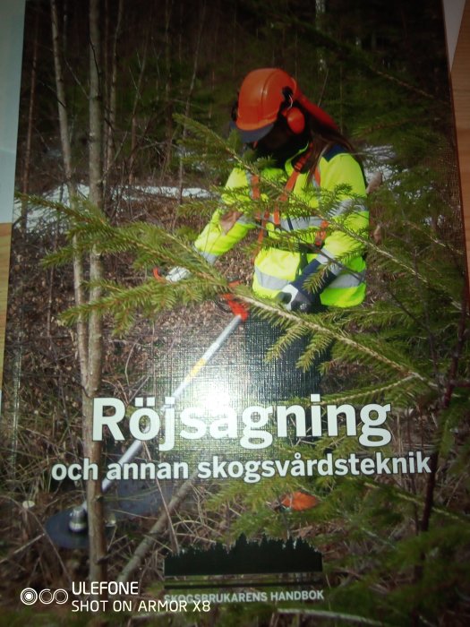 Person i skyddskläder och hjälm röjer i skogen med handsåg.