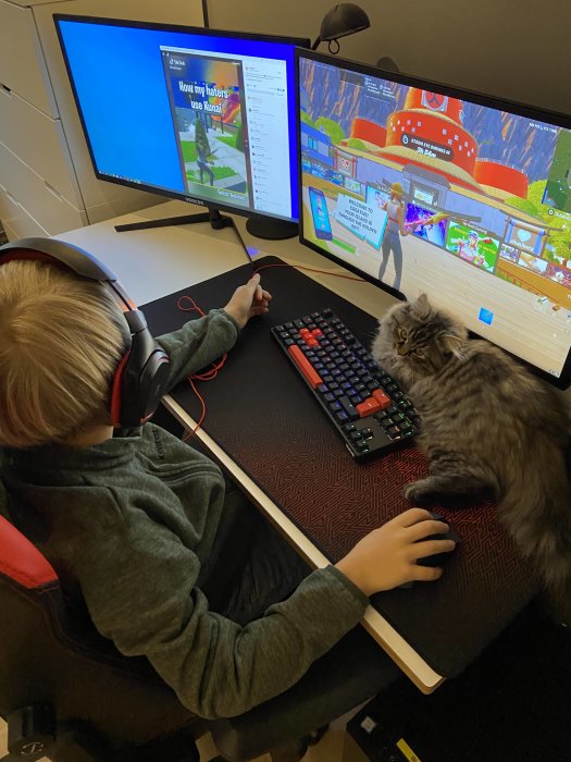 Barn spelar datorspel medan en katt ligger bredvid på skrivbordet