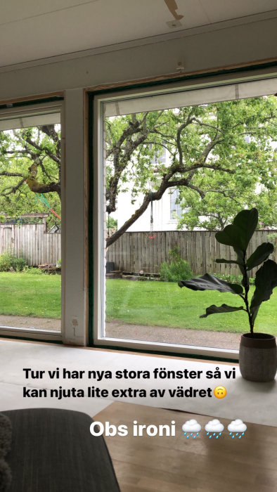 Utsikt från ett nyinstallerat stort fönster med trädgård och träd i regnväder, inomhusplanta i förgrunden.