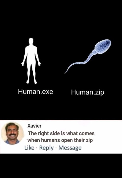 Illustration av mänsklig silhuett bredvid spermie, humoristiska etiketter "Human.exe" och "Human.zip", med kommentar nedan.
