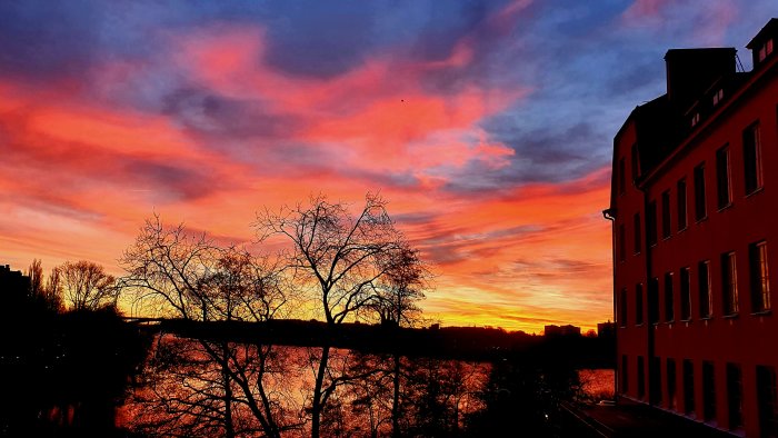 Vibrant sunset with red and orange sky behind silhouette of trees and a building's facade.