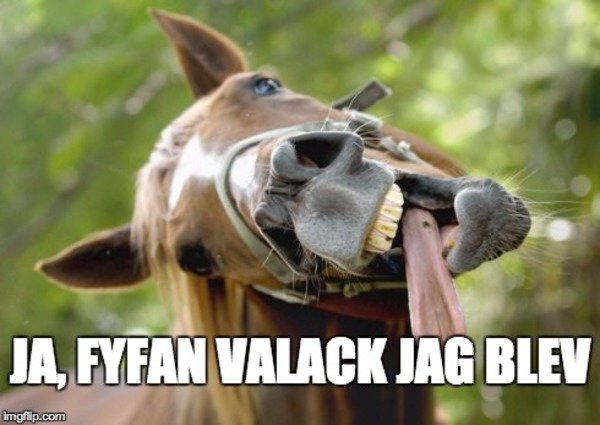 Häst som gapar stort med texten "JA, FYFAN VALACK JAG BLEV" överlagrad.