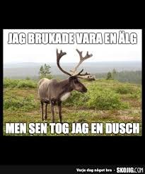 Åsna ser ut som en älg med texten "Jag brukade vara en älg men sen tog jag en dusch" mot skogsbakgrund.