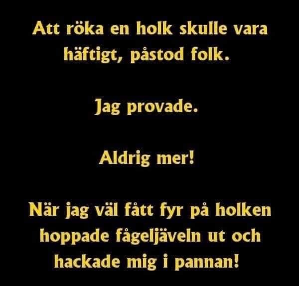 Humoristisk text om en misslyckad upplevelse med att röka en fågelholk och bli attackerad av en fågel.