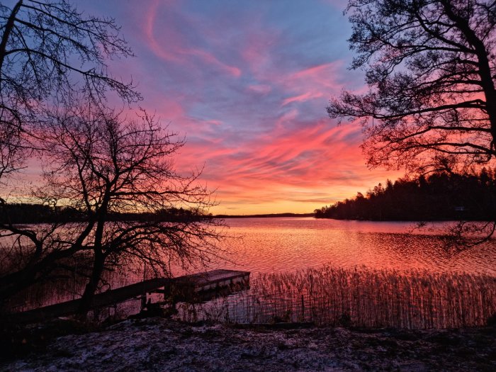 Dramatisk solnedgång med rödrosa himmel reflekterad i en sjö, med silhuett av träd och en brygga.