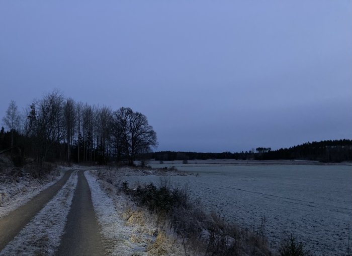 Landsväg genom ett frostigt landskap i skymningen med träd och ett fält.