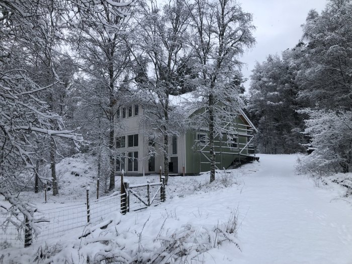 Vit villa omgiven av snötäckta träd och mark, vinterlandskap.