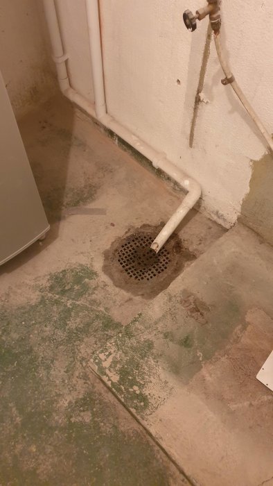 Gammal gjutjärnsbrunn nära väggen i en källare med betonggolv och anslutna rör.