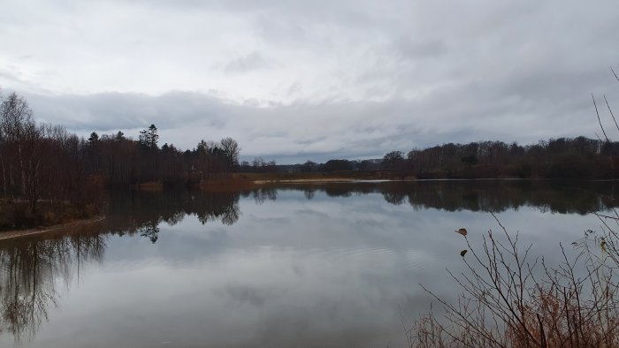 Molnig himmel speglar sig i ett lugnt sjövatten omgivet av barr- och lövträd.