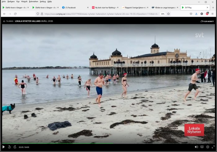 Personer badar i kallt vatten vid Varbergs kallbadhus en mulen dag.