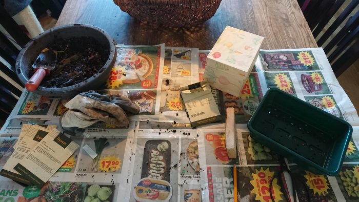 Sådd av perenner på reklambelagt bord med såjord, fröpåsar, tomma krukor och trädgårdshandskar.