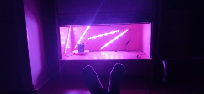 Växthus med lila grow lights och en liten växt i kruka, betraktat av en person med fötterna i förgrunden.