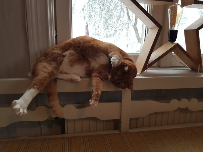 Rödbrun vit katt sover slapp på en fönsterbräda bredvid en ovanlig lampdesign.