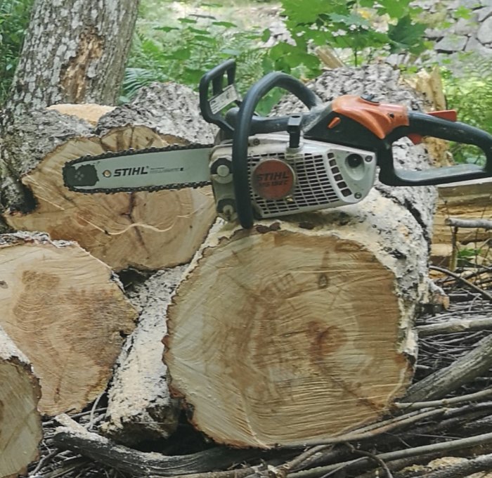 Stihl motorsåg placerad på sågade trädstammar i skogsmiljö.
