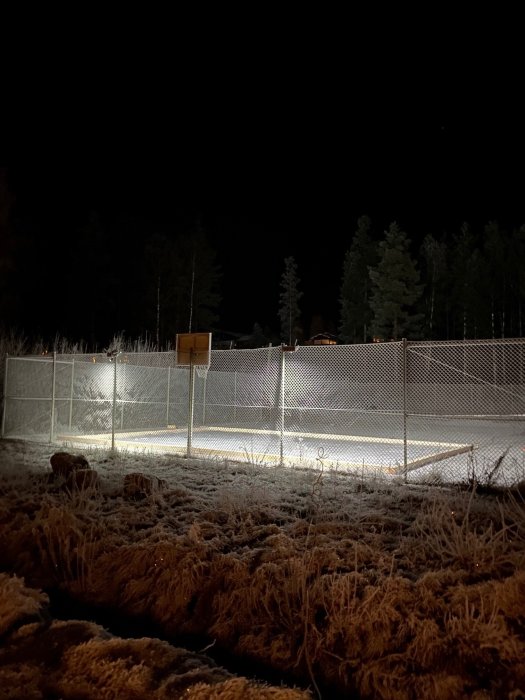 En hemmagjord isrink under konstruktion, belyst på natten med frostigt gräs i förgrunden.