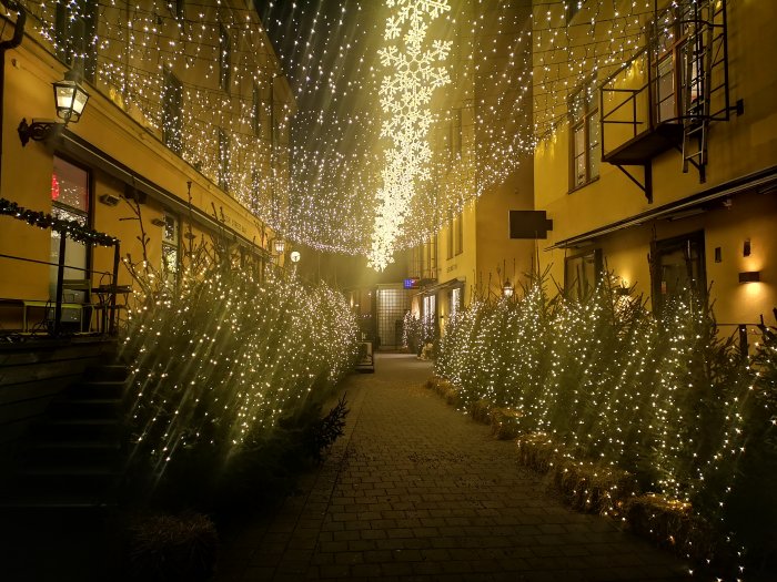 Torget dekorerat med julbelysning och julgranar på kvällen i en gata.