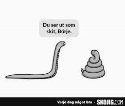 Illustration av en orm och en hög av avföring med pratbubbla: "Du ser ut som skit, Börje." Länk till SKOJIG.COM nedan.