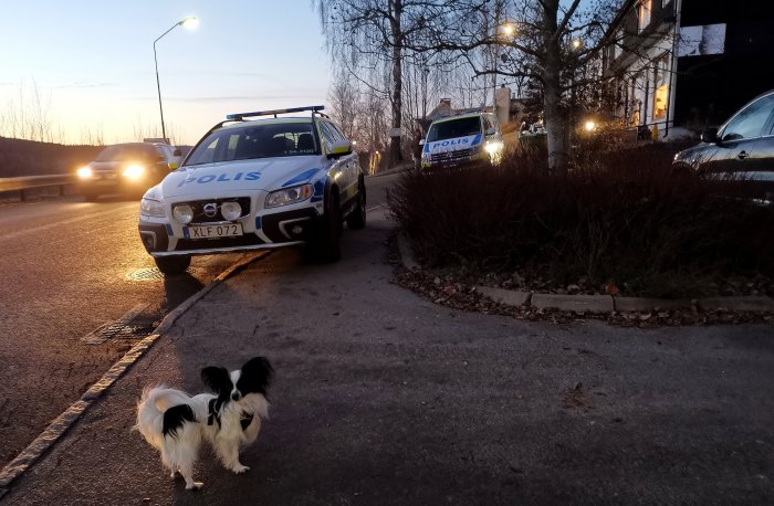 Polisbil felparkerad på trottoar och en liten hund i förgrunden vid gatskylt.