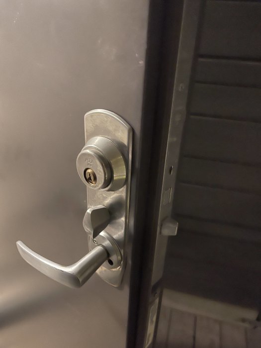 Metallhandtag och låscylinder på en sluten dörr, potentiell installation av Yale Doorman.