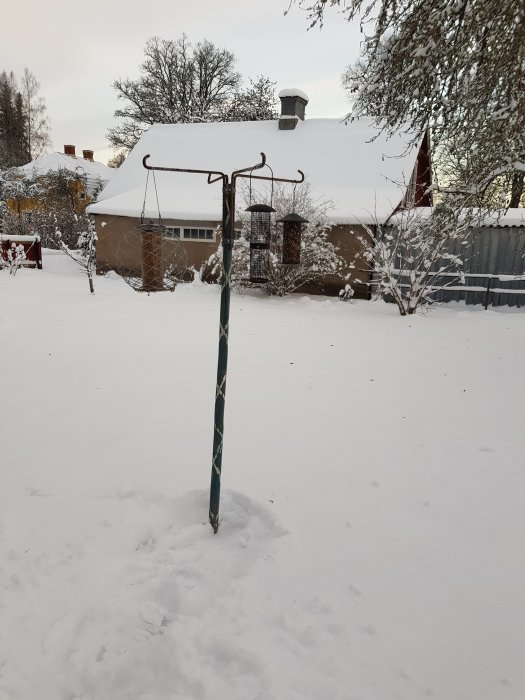 Handgjord fågelmatarhängare i snöigt trädgård med hus i bakgrunden.