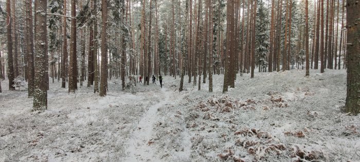 Personer vandrar på en snöig skogsstig omgivna av snötäckta träd.