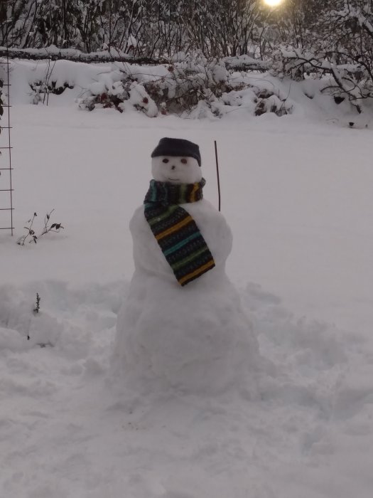 En snögubbe med hatt och halsduk står i ett snötäckt landskap.