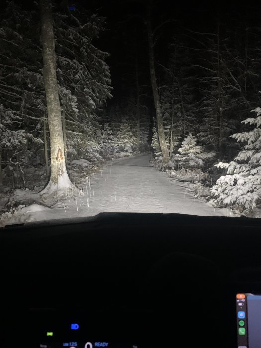 Vy från bilens förarsäte på en snöig skogsväg om natten upplyst av strålkastare.