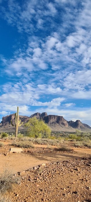 Ökenlandskap med saguaro kaktus i förgrunden och berg i bakgrunden under klarblå himmel med moln.