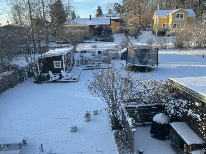 Vinterträdgård med snötäckt mark, trädgårdsmöbler och studsmatta, soligt väder.