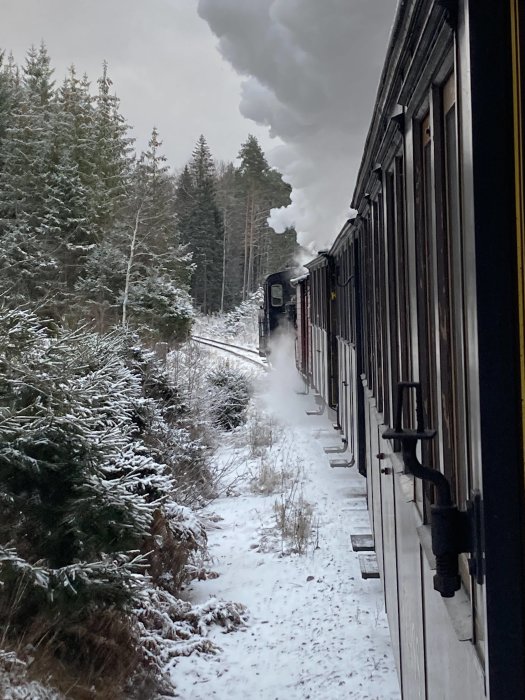 Ångtåg som färdas längs snötäckt spår med skog i bakgrunden.