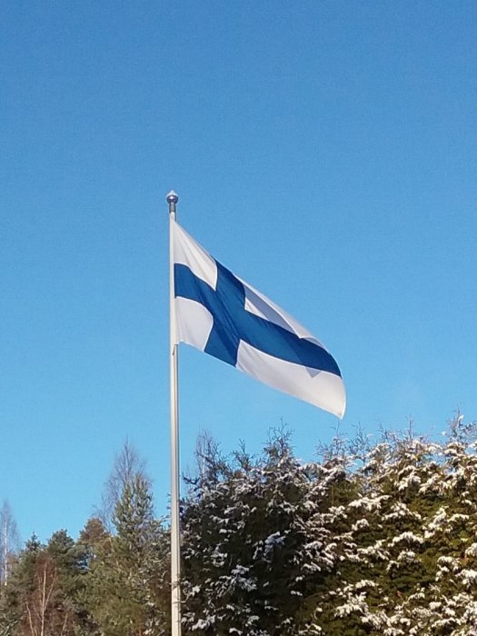 Finsk flagga vajar mot en klarblå himmel med snöklädda träd i bakgrunden.