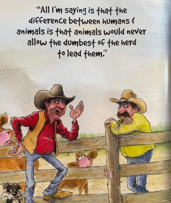 Två karikatyrer av cowboys vid ett staket med textcitat om ledarskap, omgiven av hundar och kor.