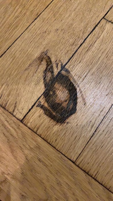 Fläck från rengörningsmedel på fiskbensparkett.