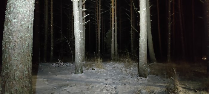 Snötäckt skogsväg i mörker med träd och en aning snö, ger känsla av kyla vid -20 grader Celsius.