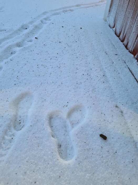 Svarta sotflagor spridda på snötäckt altangolv med synliga fotavtryck, nära en byggnadsvägg.