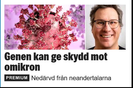 Illustration av covid-19 viruset och porträtt av forskare Michael Hultström med text om genetiskt skydd mot omikron.