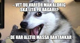 Meme med en hund som ser chockad ut, med text som gör ett ordskämt om bagare.