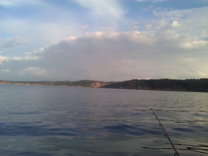 WP_000855.jpg