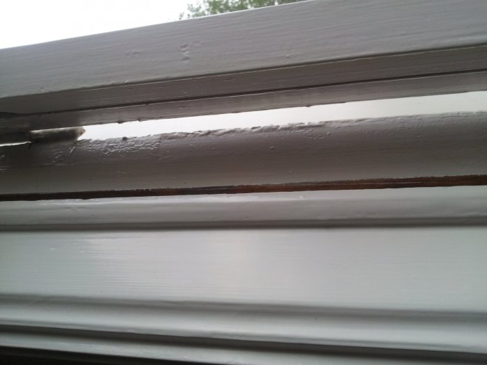 20120709_212147.jpg