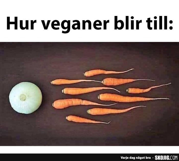 En lök och flera morötter utlagda på ett mörkt underlag som bildar texten 'Hur veganer blir tilll'.