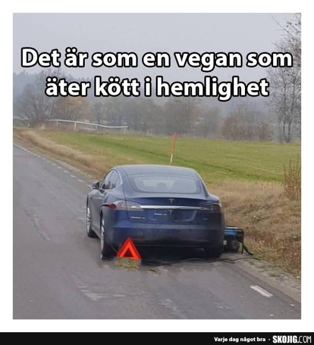 Elbil felaktigt parkerad vid vägkanten med nödtriangel, ironisk text om veganism.