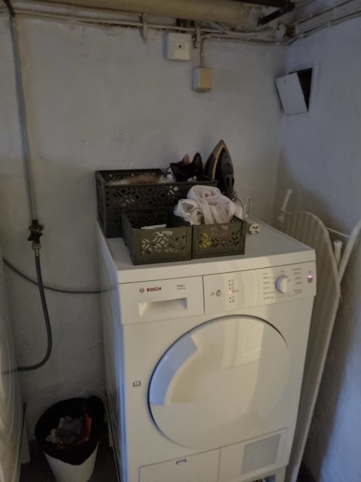 Två katter gömmer sig ovanpå en tvättmaskin i en källartvättstuga bredvid en strykbräda och tvätt.
