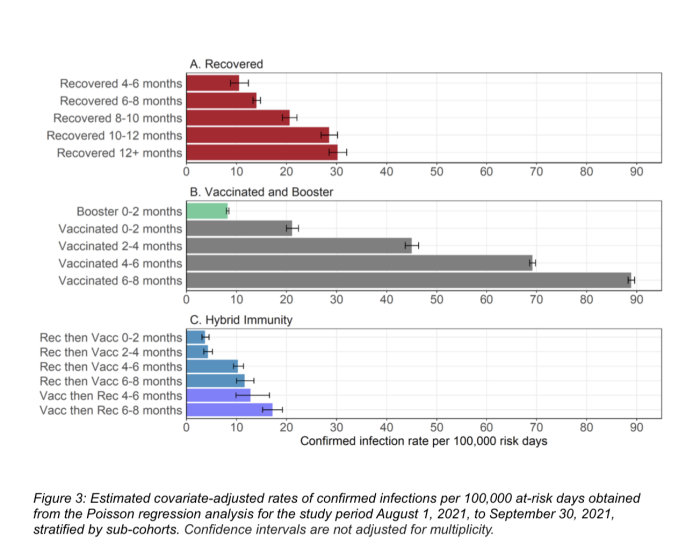 Graf som visar räntor av bekräftade infektioner per 100 000 riskdagar för återhämtade, vaccinerade och "hybrid immunitet".